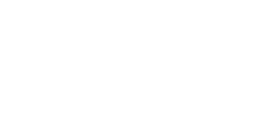 Salt Logo